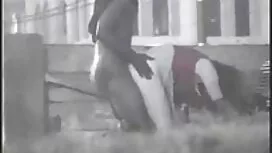 Кукурудза грає на ди ...