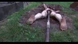 Дівчина, порнодивити ...
