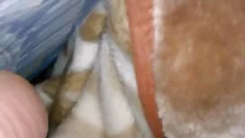 Маленькі порно онлай ...